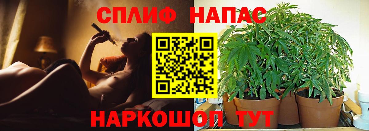 Свободный  Бошки марихуана ГИДРОПОН  Канабис OG Kush  Вход с VPN 